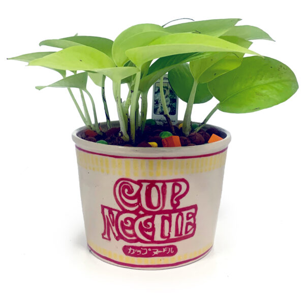 'Cup-o-Noodz' Ceramic Planter