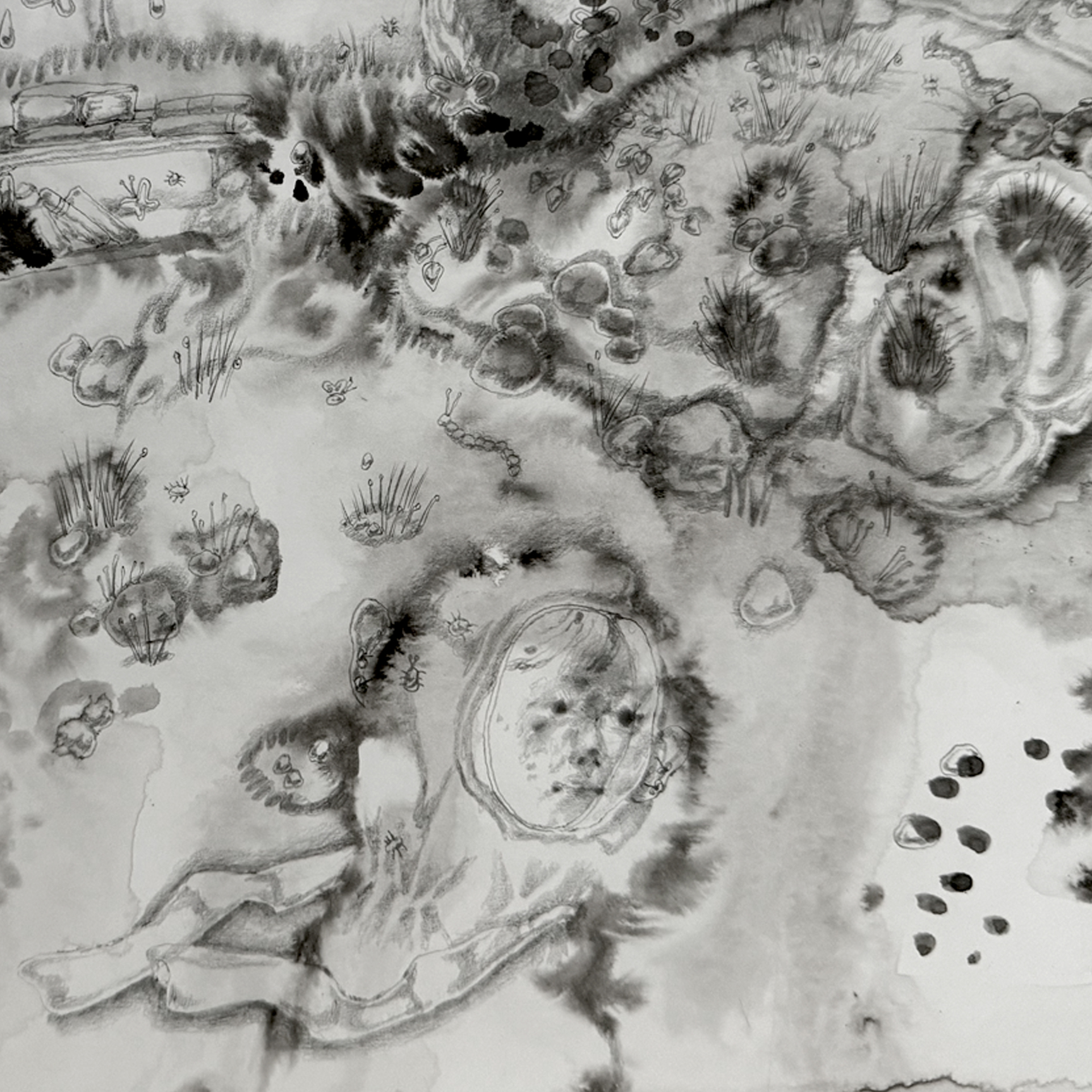 03.18.2024 - Image 3